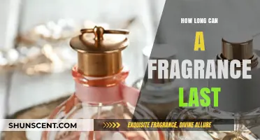 The Ultimate Guide to Long-Lasting Fragrance: Secrets to Scent Endurance