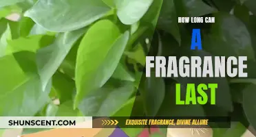 The Science of Fragrance: How Long Can Scents Linger?
