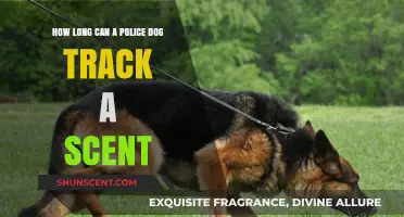 Police Dog Scent Tracking: How Long Can They Follow a Trail?
