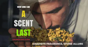 How Long Do Scents Last? Factors Affecting Fragrance Longevity