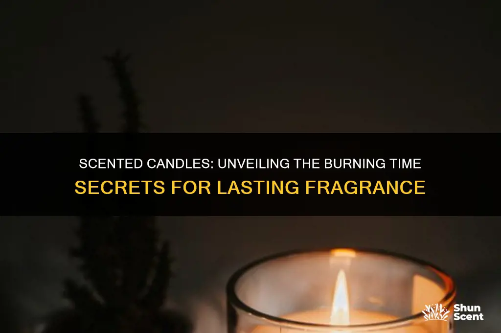 how long can a scented can burn for