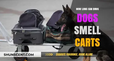 Sniffing Out the Truth: Drug Dogs' Cart Detection Capabilities Explored