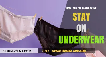Understanding Vaginal Odor: How Long Does It Linger on Underwear?