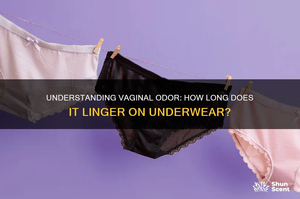how long can vagina scent stay on underwear