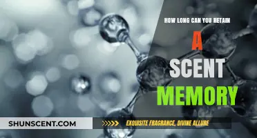 The Lasting Power of Scent Memories: How Long Do They Stay?