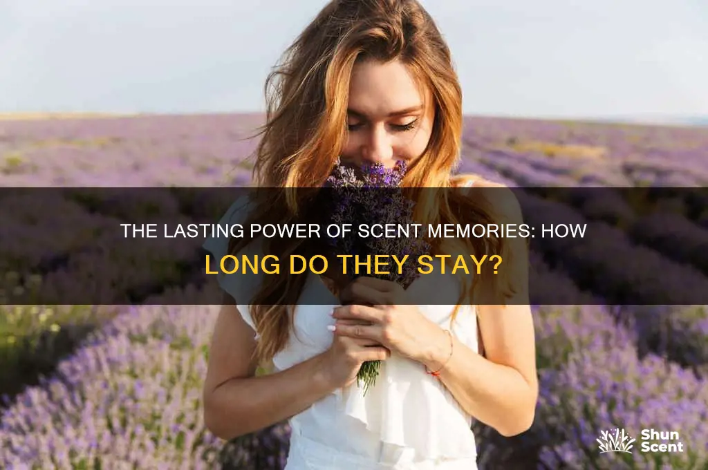 how long can you retain a scent memory