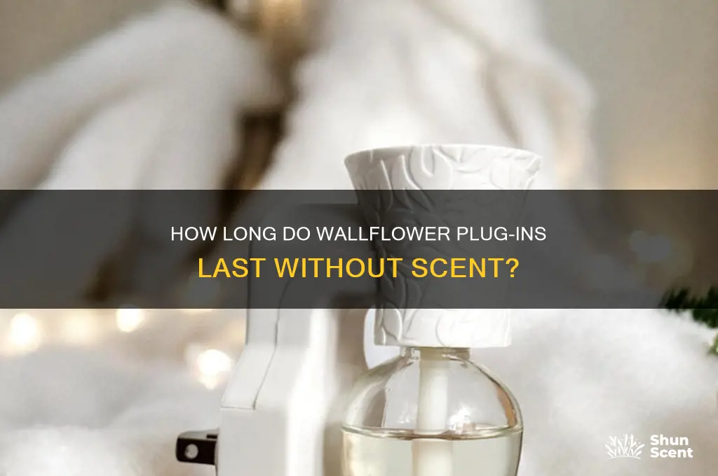 how long can you use wallflower plug in without scent