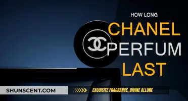 Chanel Perfume: How Long Does the Fragrance Last?