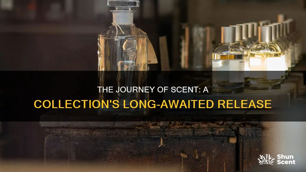 how long did it take to complete fragrance collection