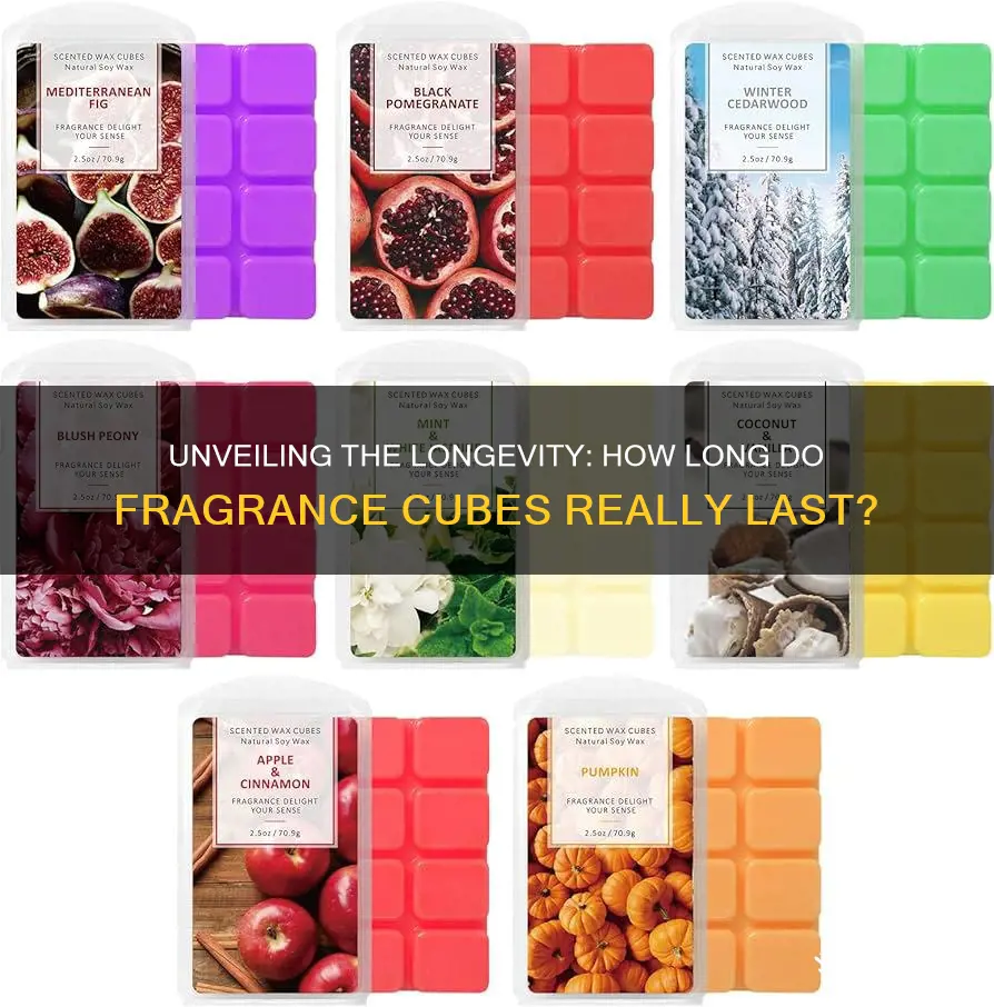 how long do 6 pack of fragrance cubes last