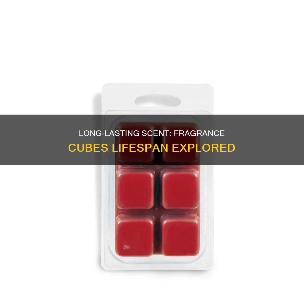 how long do 6 pack of fragrance cubes last