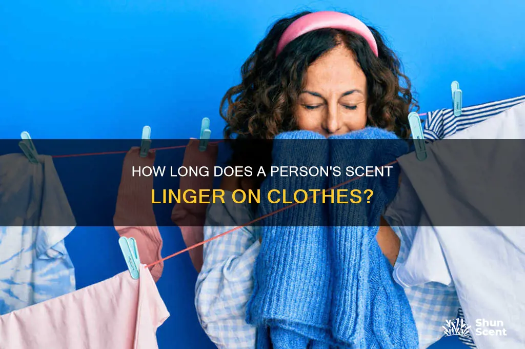 how long do a persons scent stay on clothes