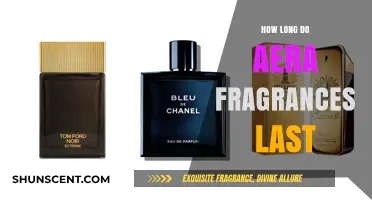 Uncover the Mystery: How Long Do Area Fragrances Really Last?