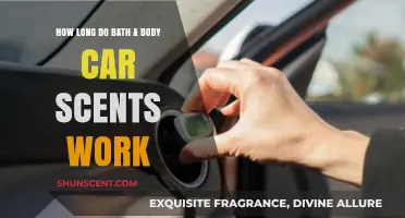 How Long Do Bath & Body Car Scents Last?