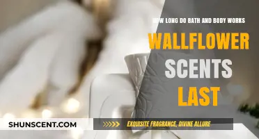 How Long Do Bath & Body Works Wallflower Scents Last?