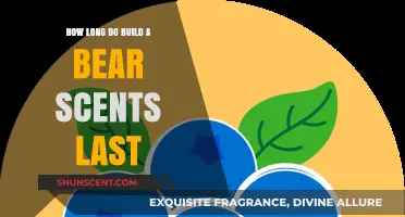 How Long Do Build-A-Bear Scents Last? A Guide