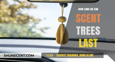 Car Scent Trees Lifespan: How Long Do They Freshen Your Ride?