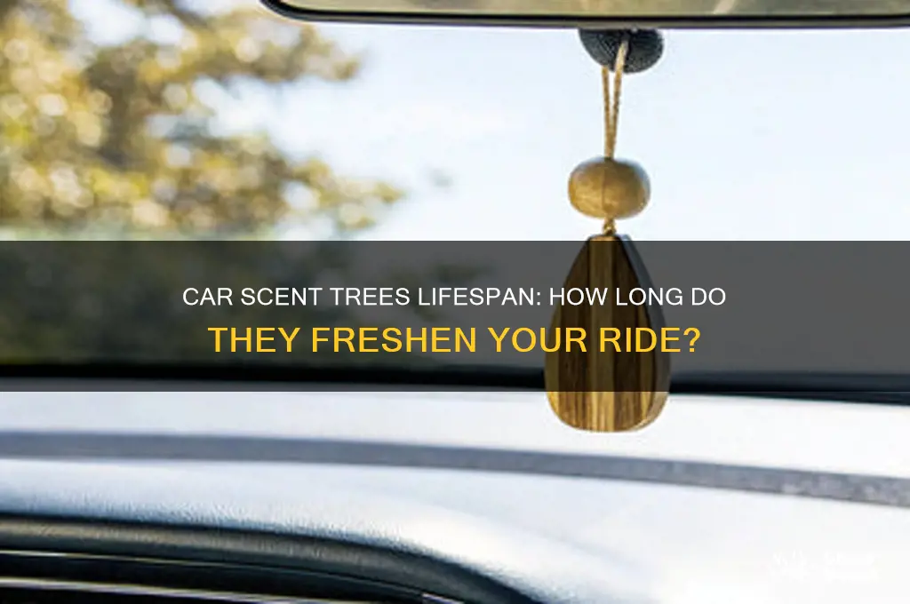 how long do car scent trees last