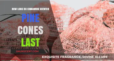 Cinnamon Scented Pine Cones: Longevity Tips for Lasting Fragrance
