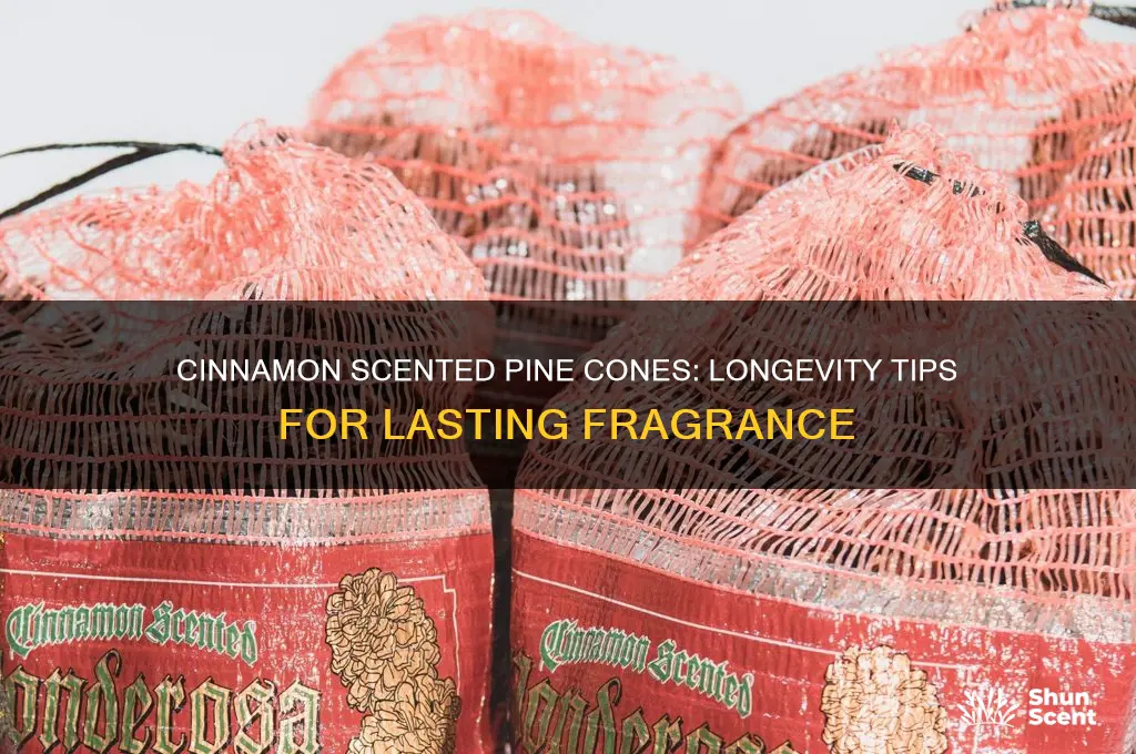 how long do cinnamon scented pine cones last