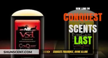 Conquest Scents Longevity: How Long Do They Truly Last?