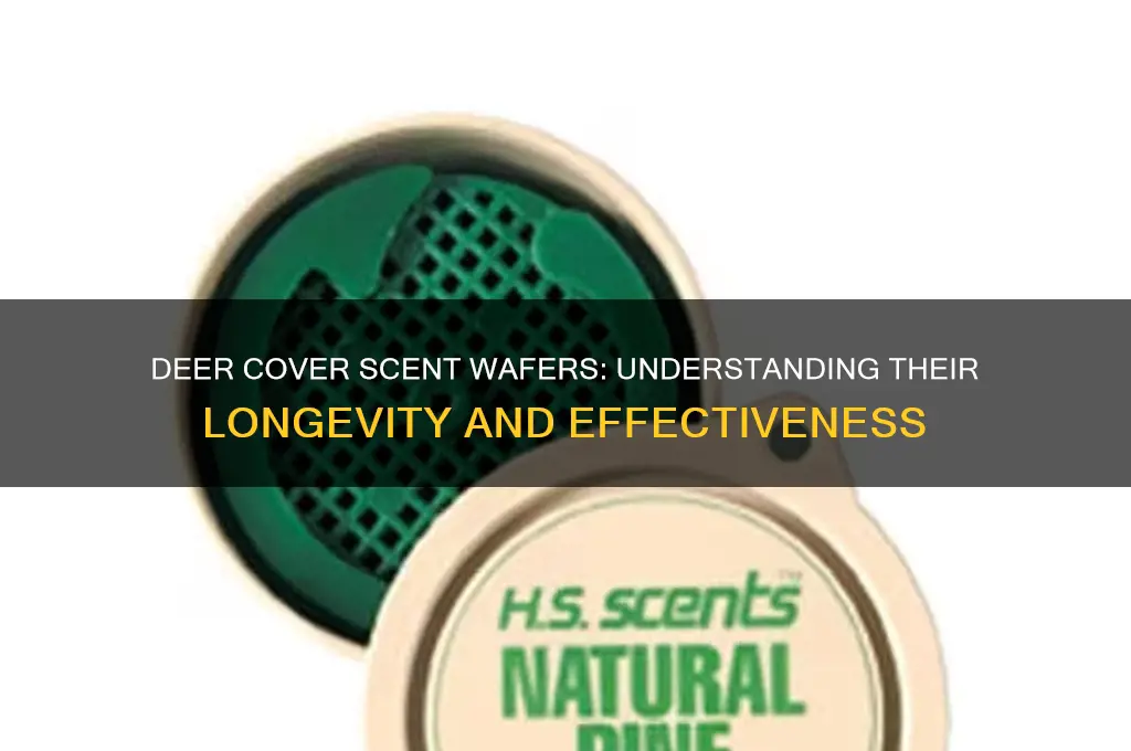 how long do deer cover scent wafers last
