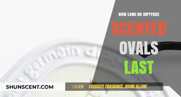 Diptyque Scented Ovals Longevity: How Long Does the Fragrance Last?