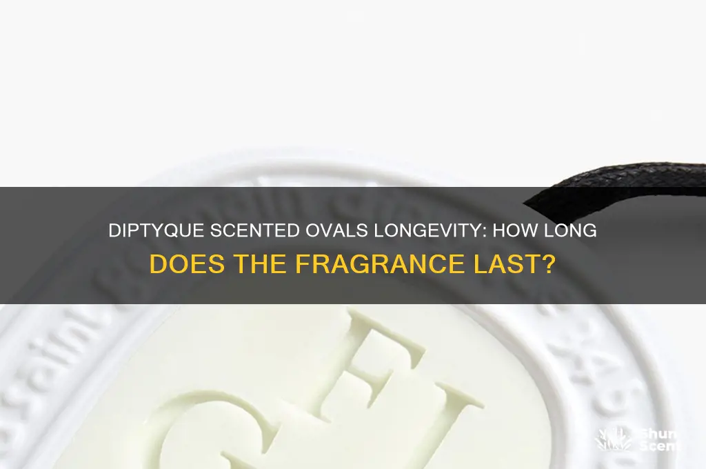 how long do diptyque scented ovals last