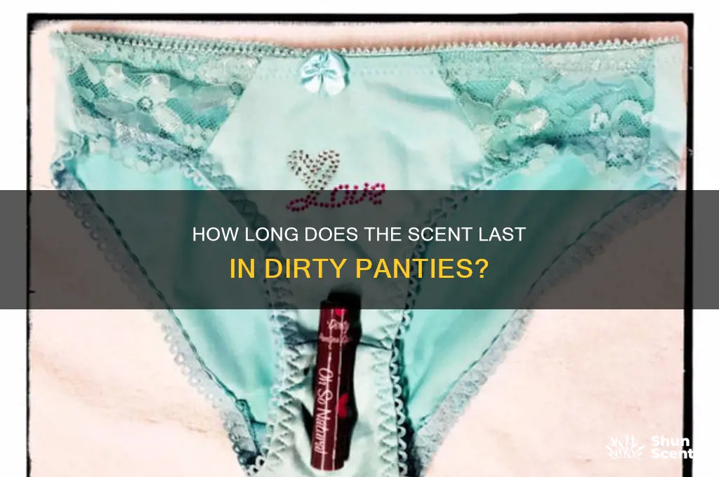 how long do dirty panties keep scent