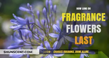 The Longevity of Fragrance: How Long Do Flowers Last?