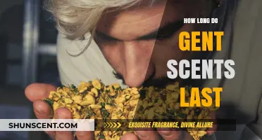 How Long Do Gent Scents Last? A Fragrance Longevity Guide