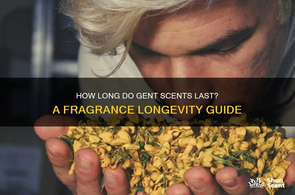 how long do gent scents last