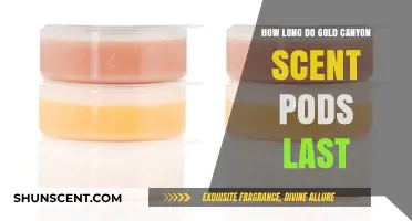 Gold Canyon Scent Pods Longevity: How Long Do They Last?