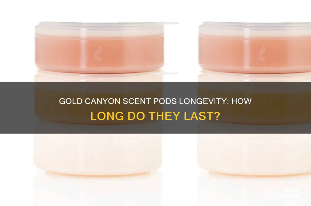 how long do gold canyon scent pods last