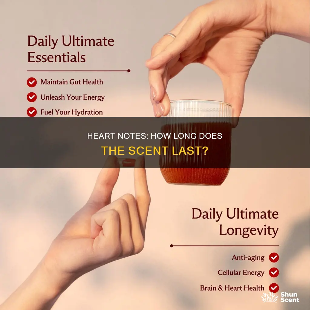 how long do heart notes last perfume