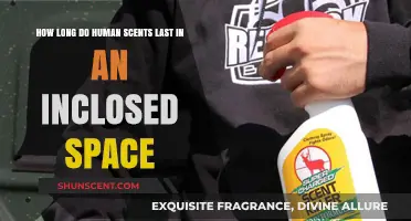 How Long Does Human Scent Linger in Enclosed Spaces?