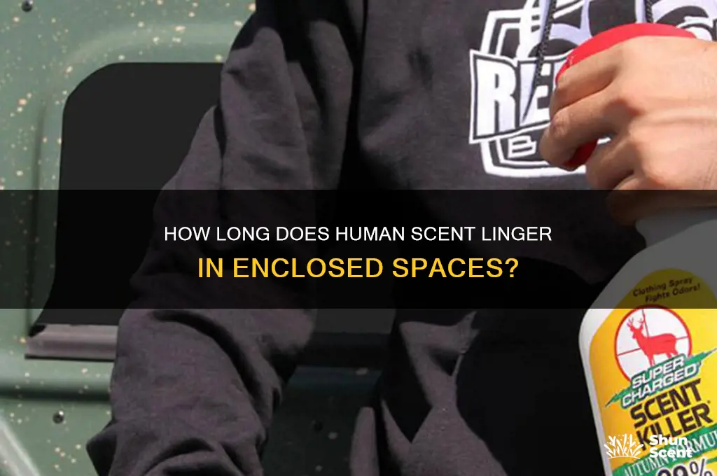 how long do human scents last in an inclosed space