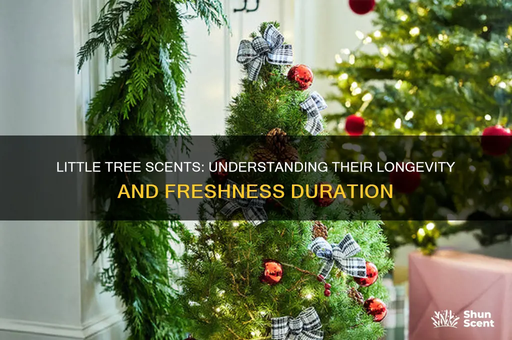 how long do little tree scents last
