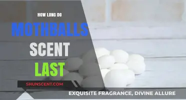 Mothballs Scent Duration: How Long Does the Smell Last?