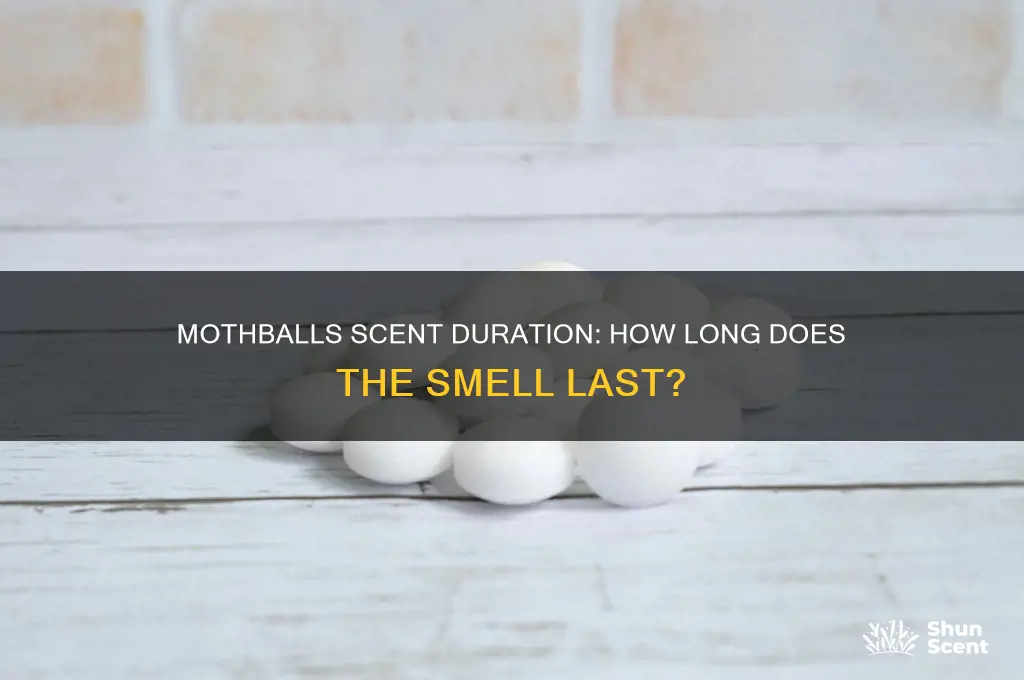 how long do mothballs scent last