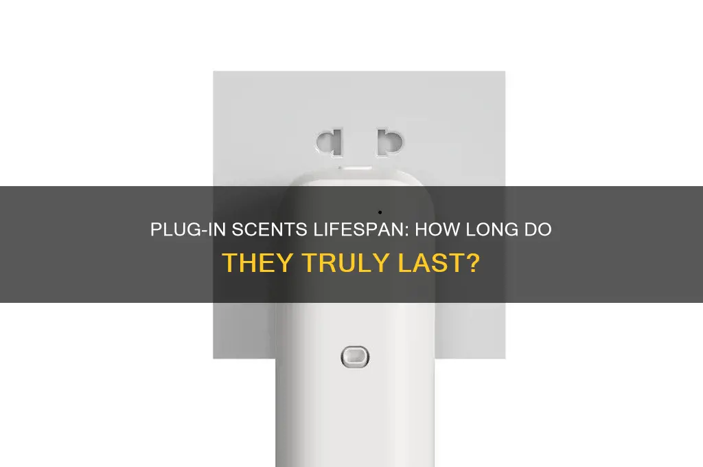how long do plug in scents last