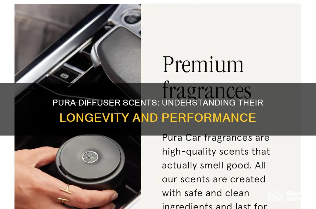 how long do pura diffuser scents last