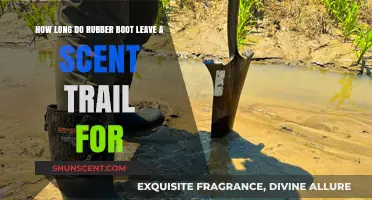 How Long Does Rubber Boot Scent Trail Last in the Wild?