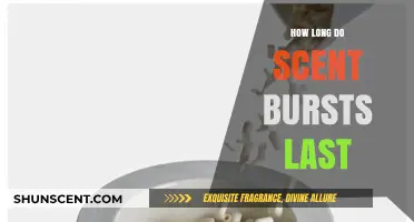 Understanding the Duration of Scent Bursts: A Comprehensive Guide