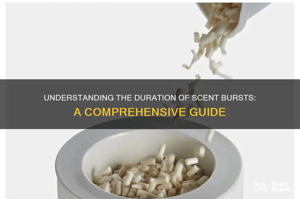 how long do scent bursts last
