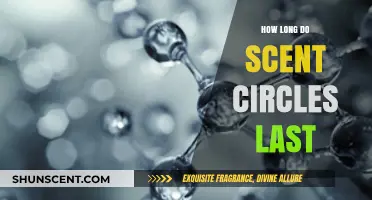 Scent Circles Lifespan: How Long Do They Last and Stay Fresh?