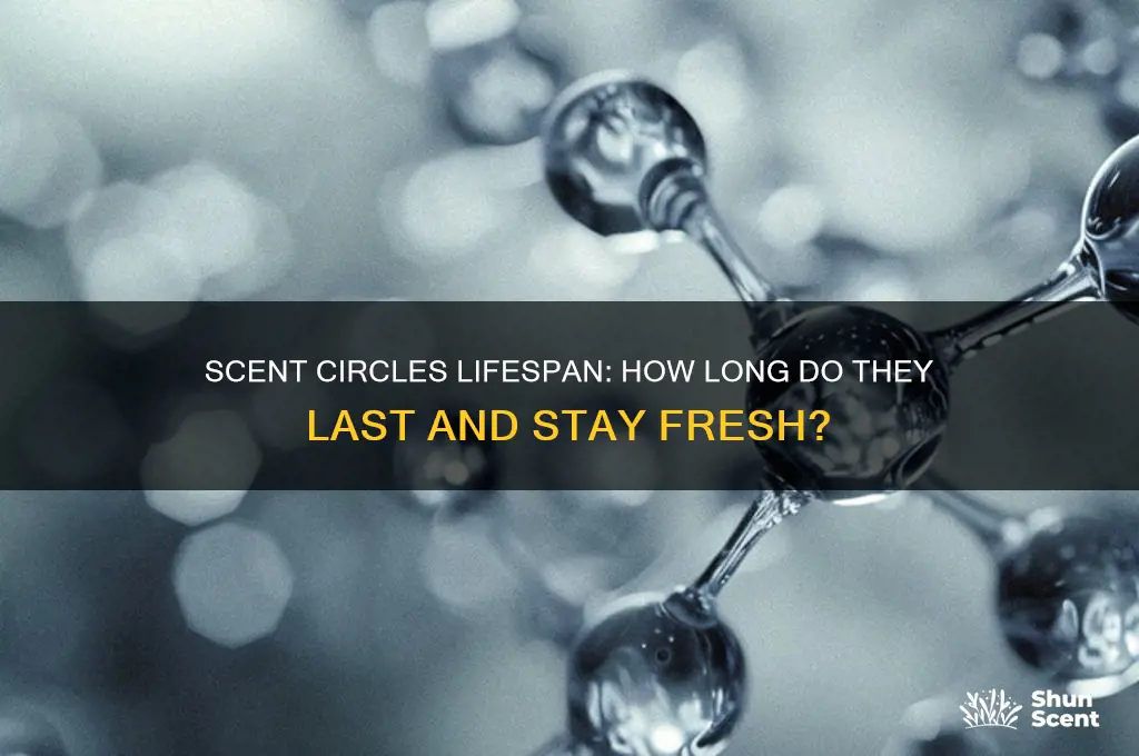 how long do scent circles last