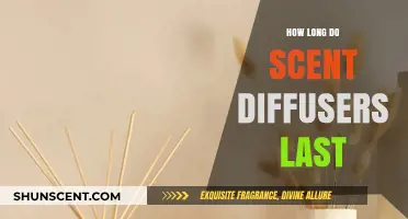 Scent Diffuser Lifespan: How Long Do They Last?
