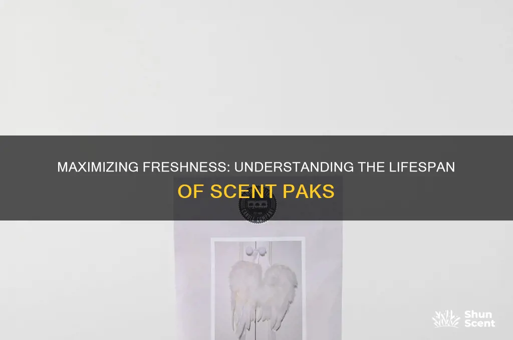 how long do scent paks last