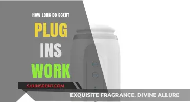 How Long Do Scent Plug-Ins Work? A Comprehensive Guide